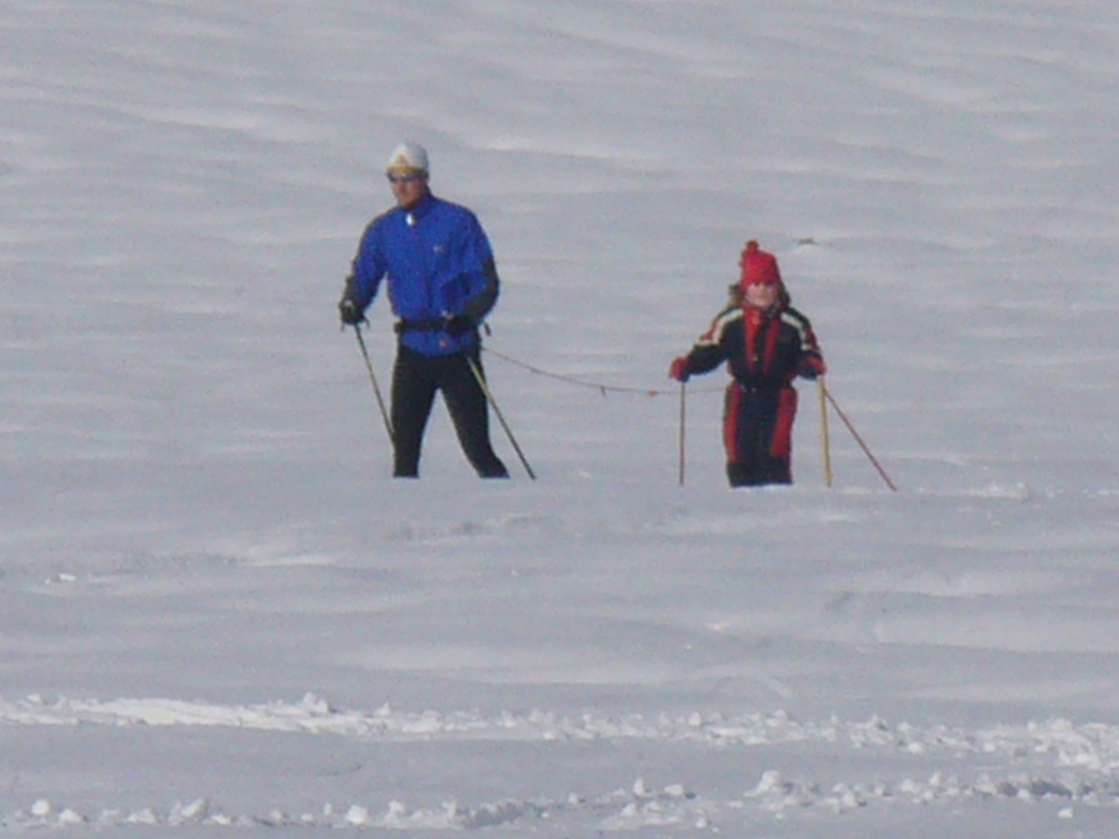 P1000359.JPG